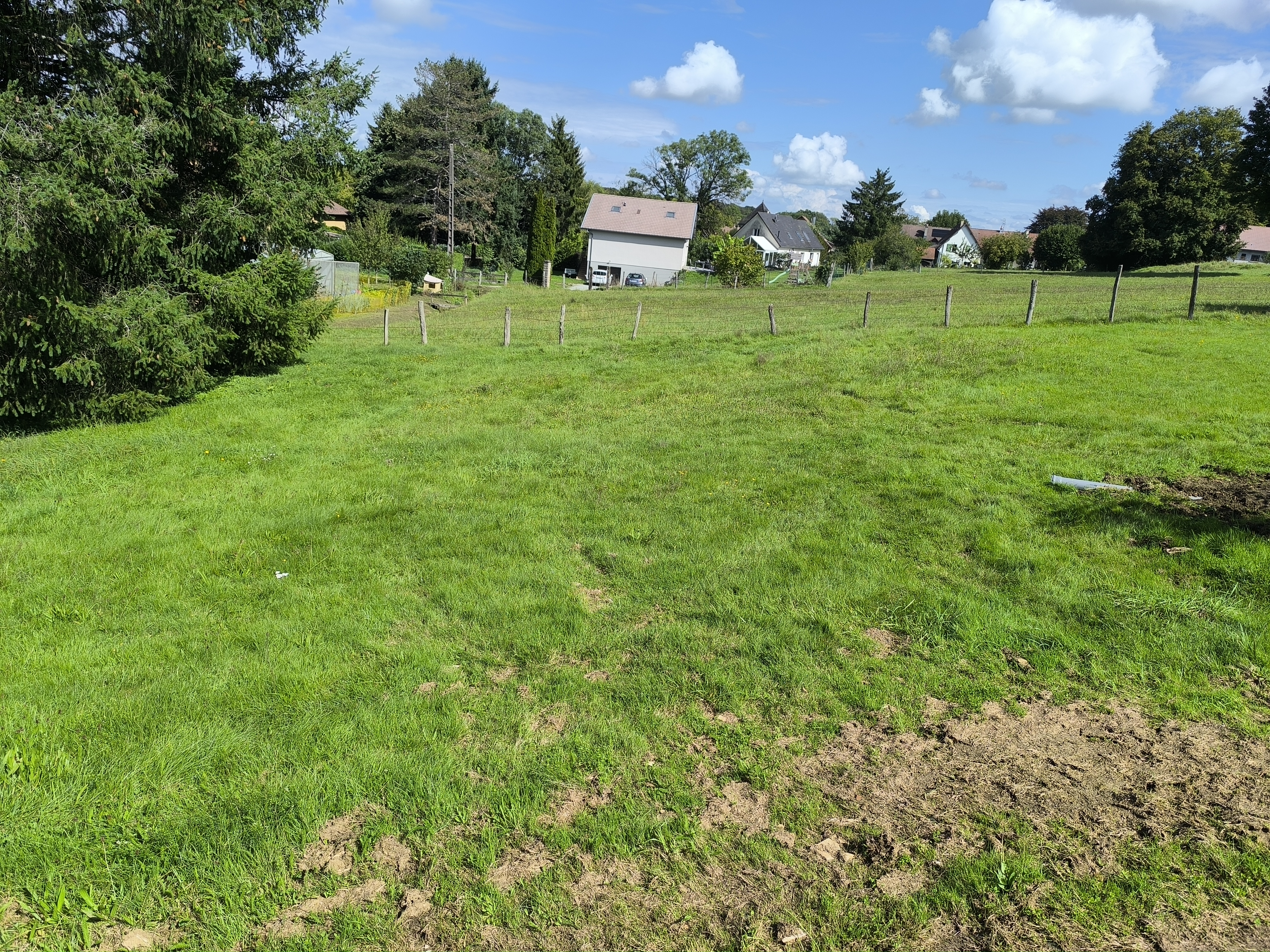 Tonte de pelouse avec tracteur tondeuse john Deere jx340r avant/après